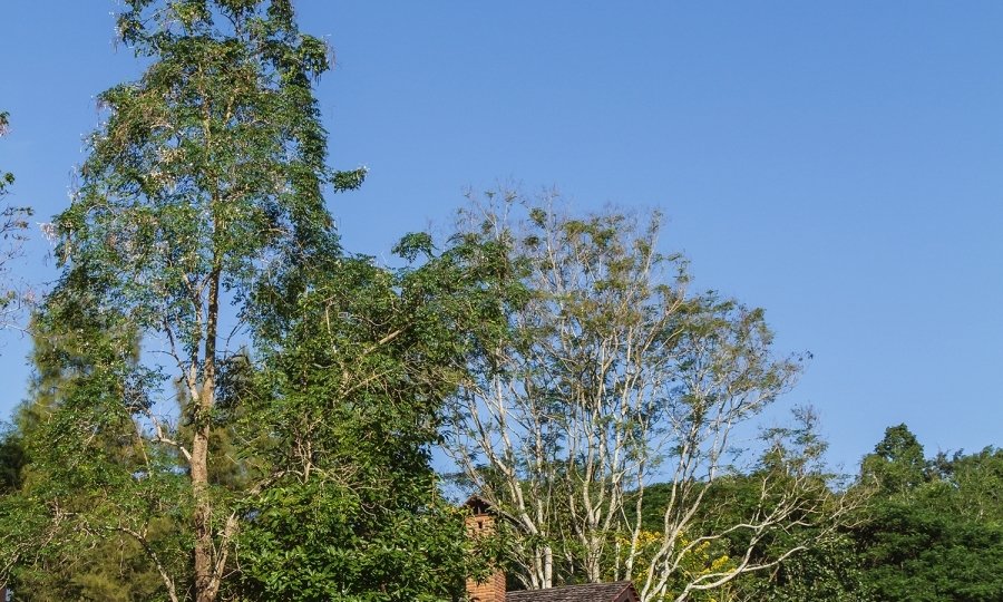 Novo estilo de vida leva o mercado de luxo para o campo em Goiânia